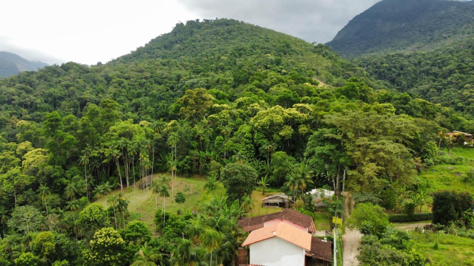 Casa Da Floresta Pico Da Aguia Paraty Exterior photo